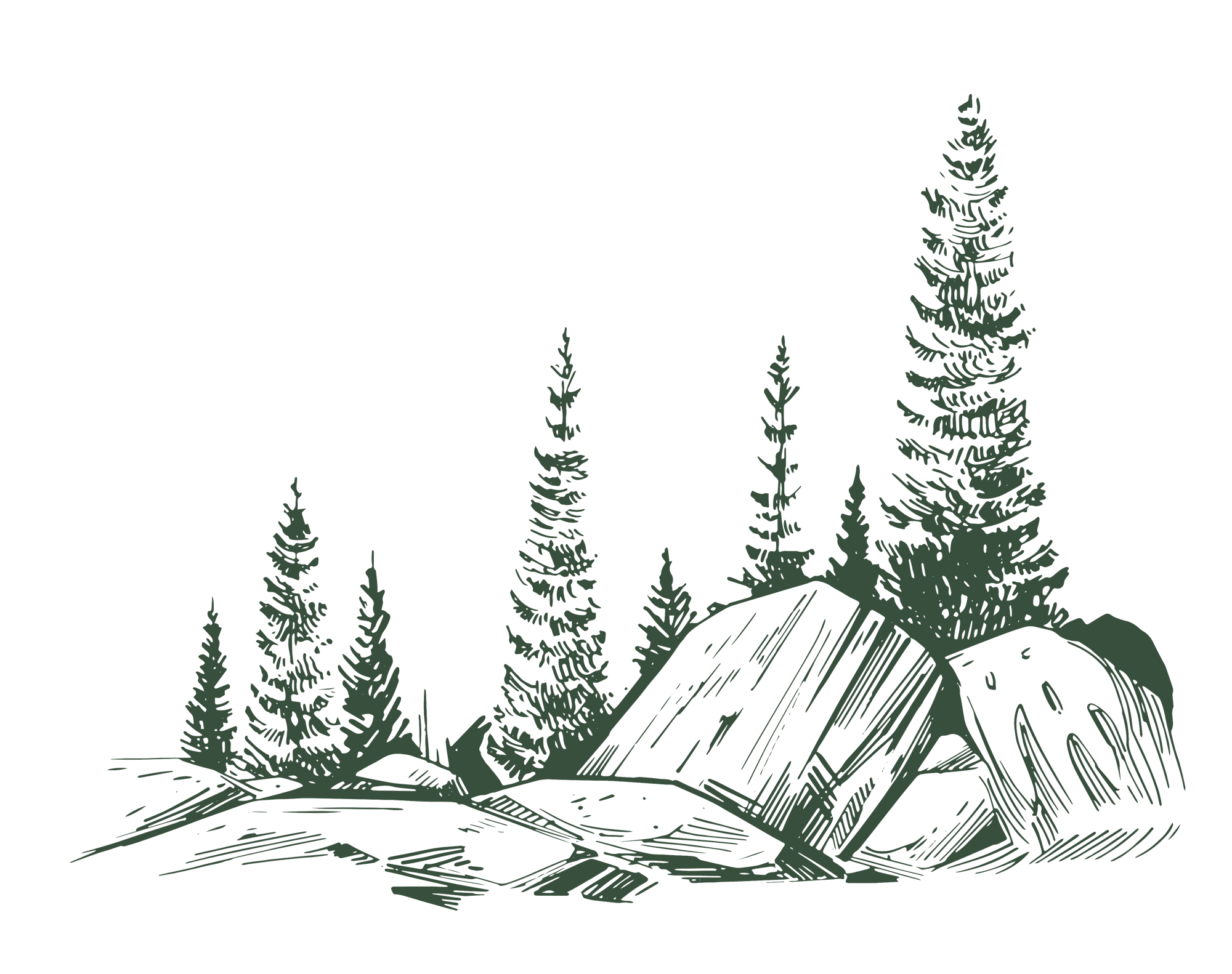 Mountain Forest with rocks